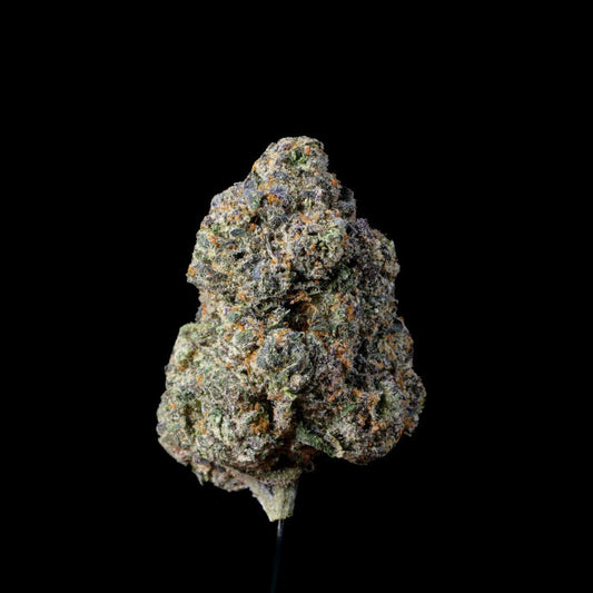 Jelly Cake THCA Flower - Lost In Translation