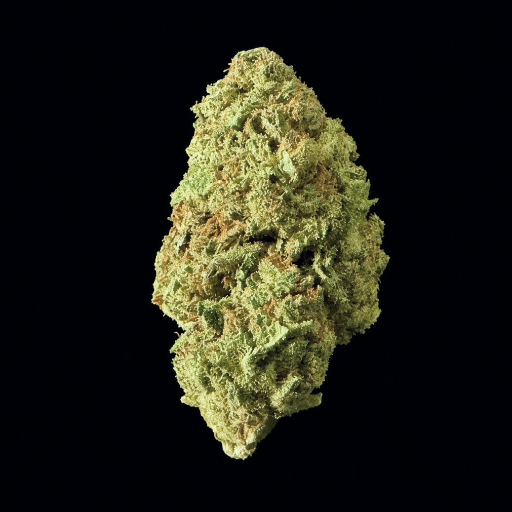 Joker's Candy THCA Flower - Lost In Translation