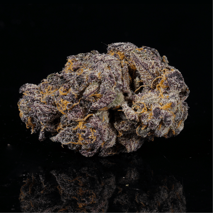Karamel Kandy THCA Flower - Lost In Translation