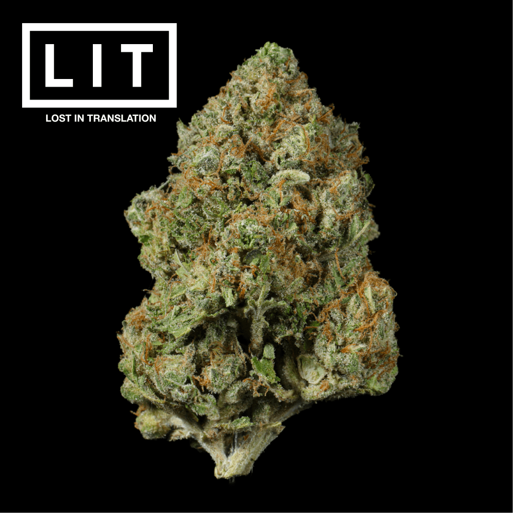 LIT OG THCA Flower - Lost In Translation