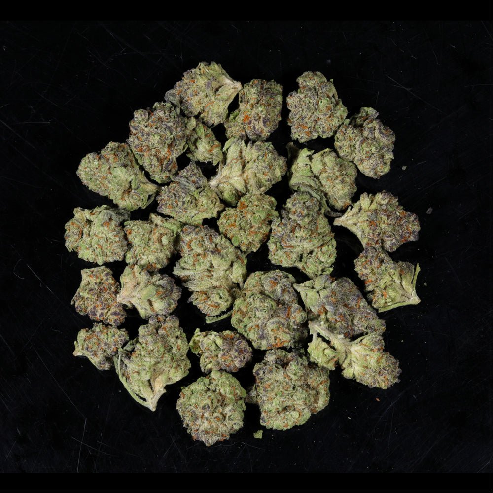 Blueberry Pancakes THCA Flower - Lost In Translation