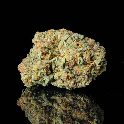 Lemon Candy THCA Flower - Lost In Translation