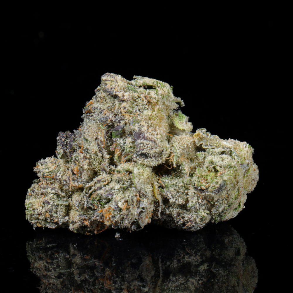 Lemon Candy THCA Flower - Lost In Translation