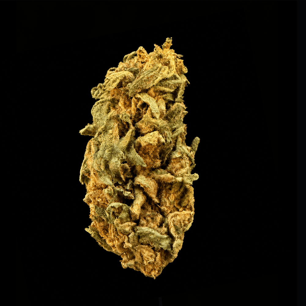 Lemon Cherry Belts THCA Flower - Lost In Translation