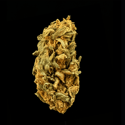 Lemon Cherry Belts THCA Flower - Lost In Translation