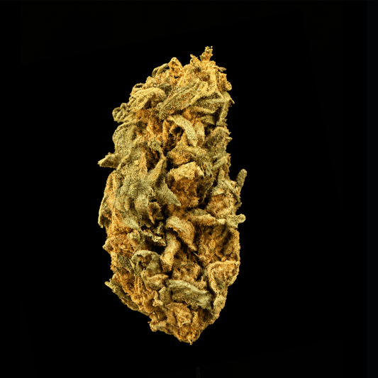 Lemon Cherry Belts THCA Flower - Lost In Translation