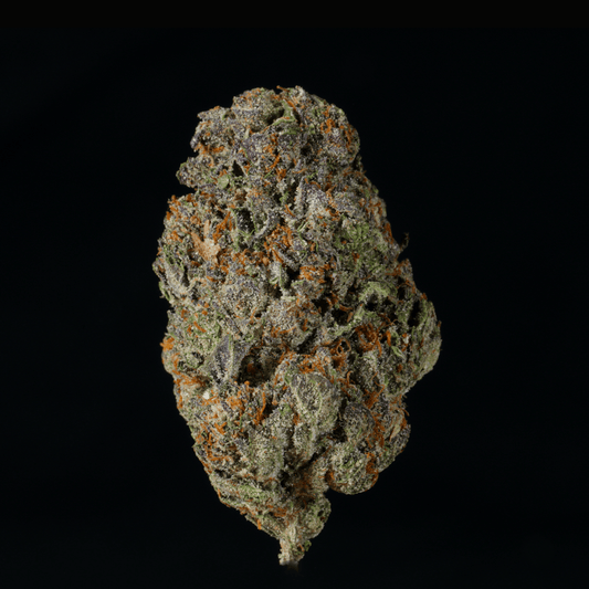 Lemon Cherry Gelato THCA Flower - Lost In Translation