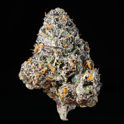 Lemon Cherry Gelato THCA Flower - Lost In Translation