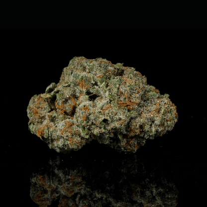 Lemon Diesel THCA Flower - Lost In Translation