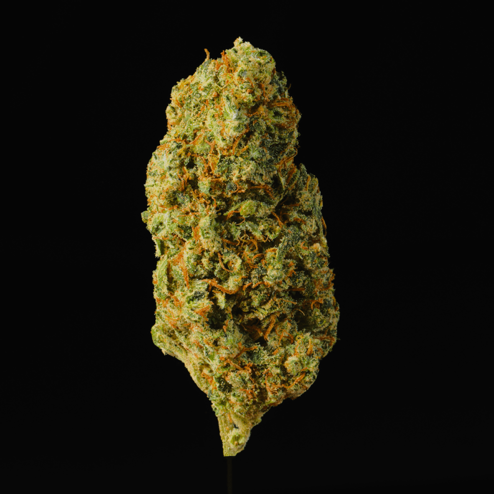 Lemon Fuel THCA Flower - Lost In Translation