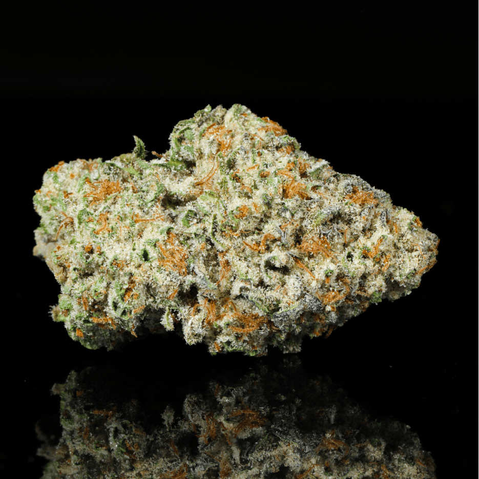 Lemon Fuel THCA Flower - Lost In Translation