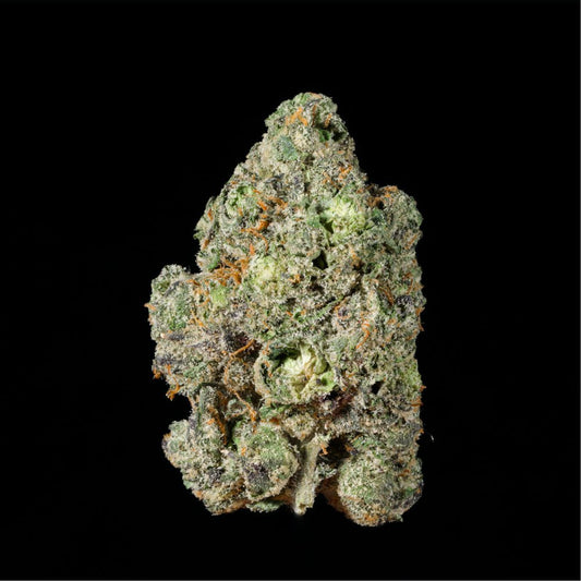 Lemon Jack THCA Flower - Lost In Translation