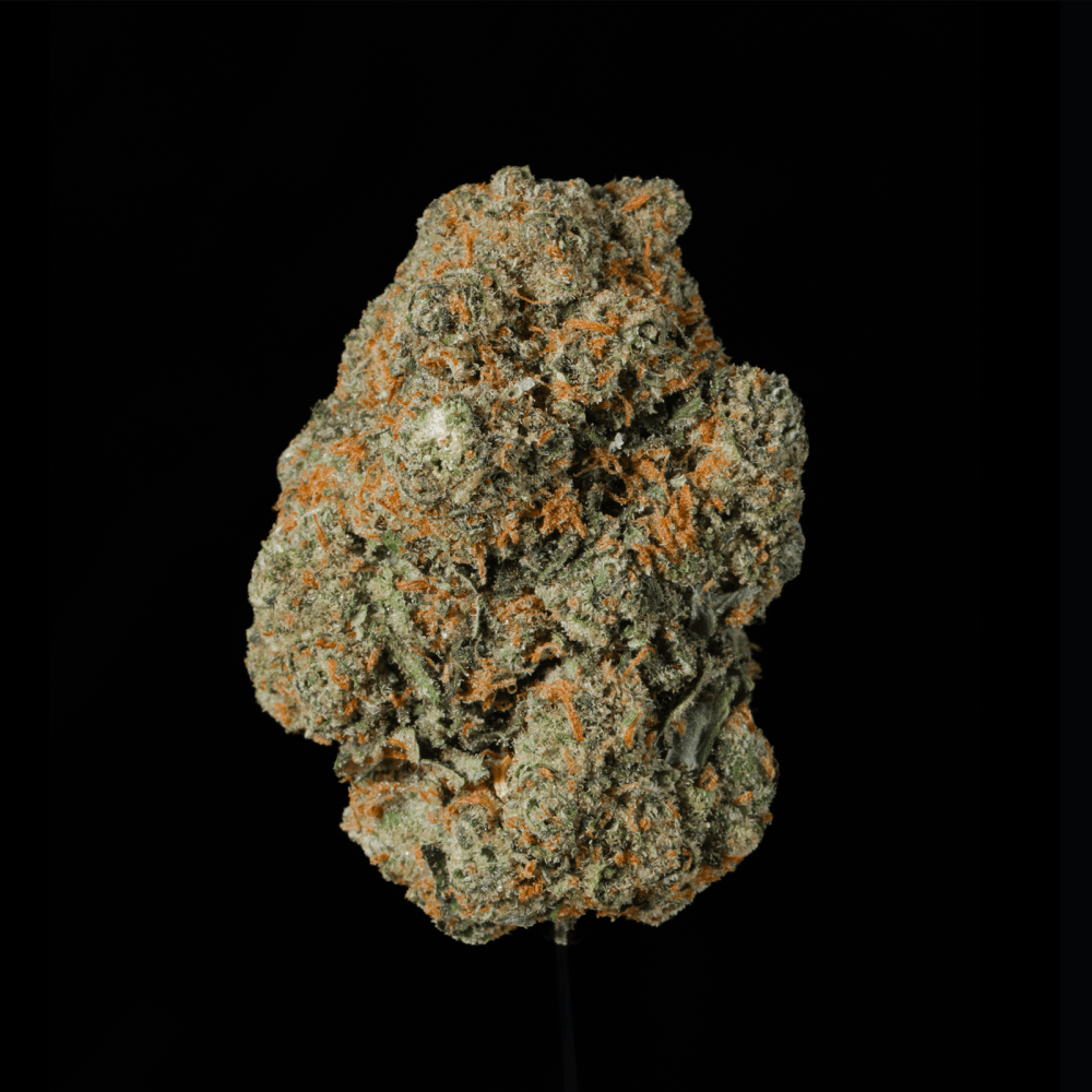 Lemon Cherry Gelato THCA Flower - Lost In Translation