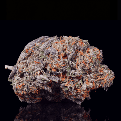 Lemon Cherry Gelato THCA Flower - Lost In Translation