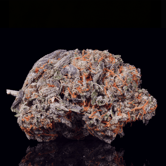 Lemon Cherry Gelato THCA Flower - Lost In Translation