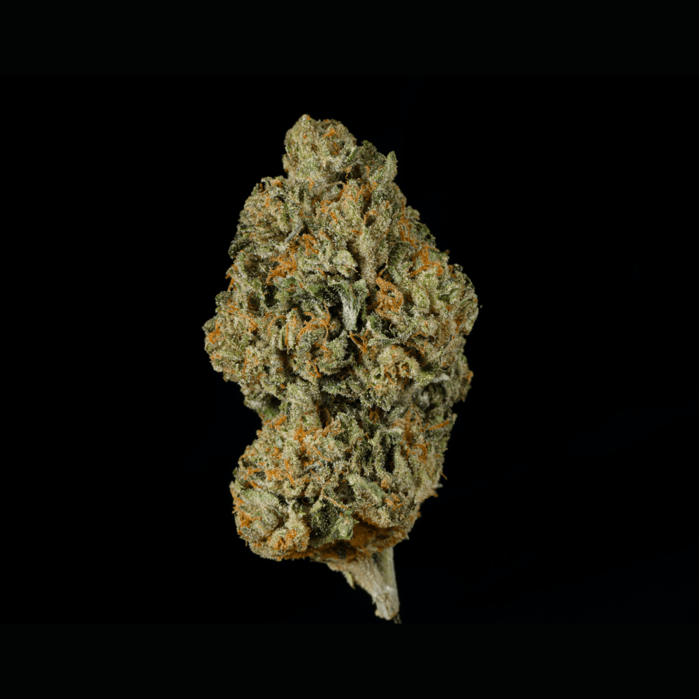 Lemon Cherry Gelato BX1 THCA Flower - Lost In Translation