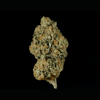 Lemon Cherry Gelato BX1 THCA Flower - Lost In Translation