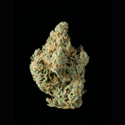 Lemon Diesel THCA Flower - Lost In Translation