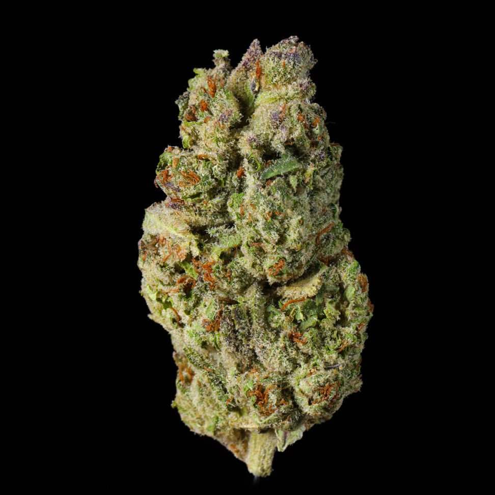 Lemon Gas THCA Flower - Lost In Translation
