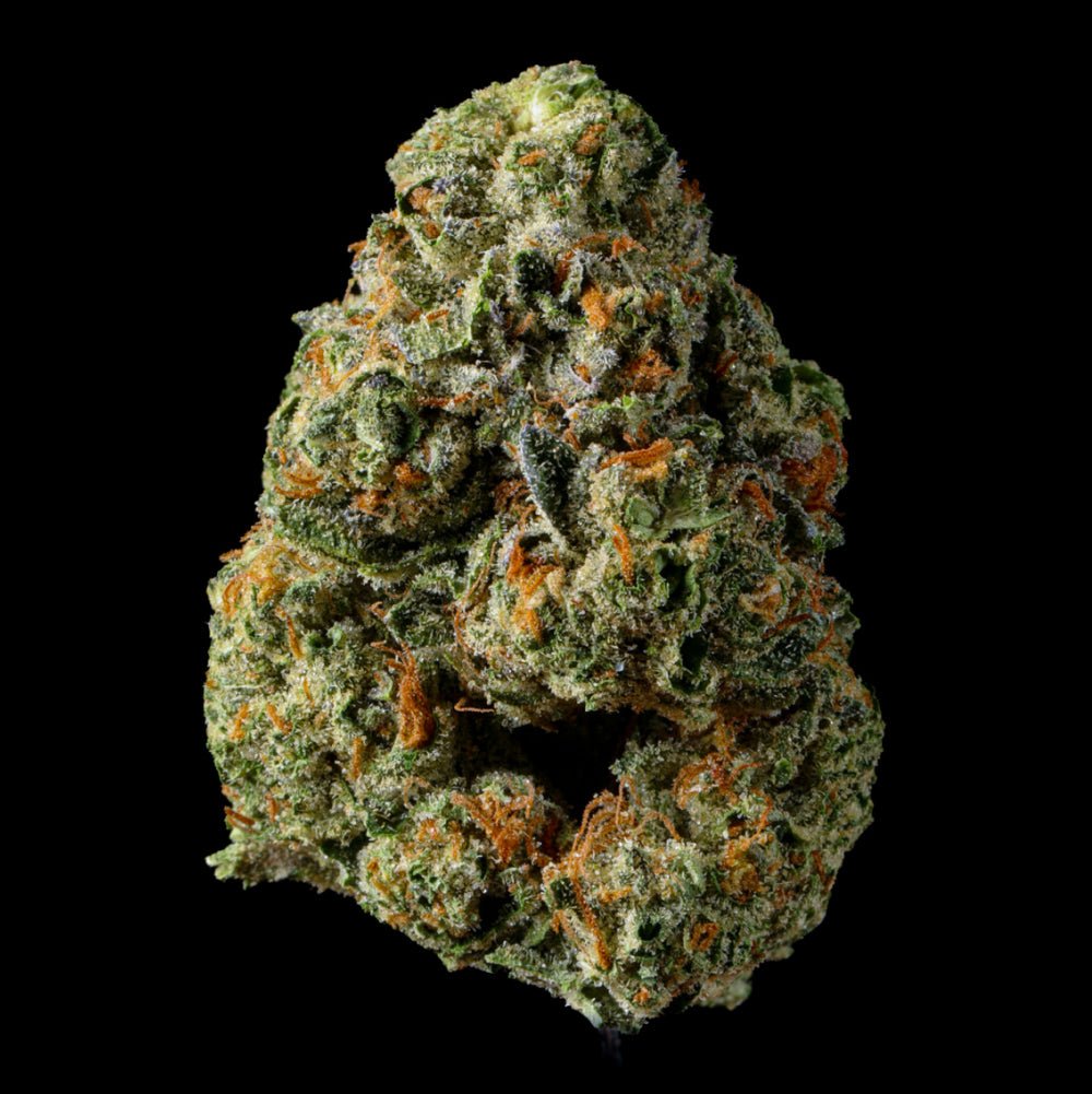 Lemon Mimosa THCA Flower - Lost In Translation