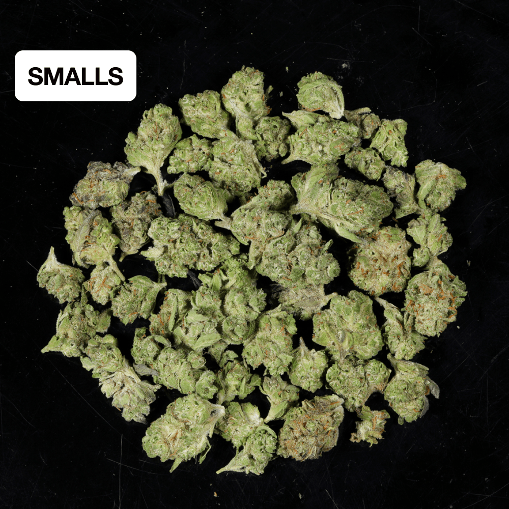 Lemonade THCA Flower - Lost In Translation