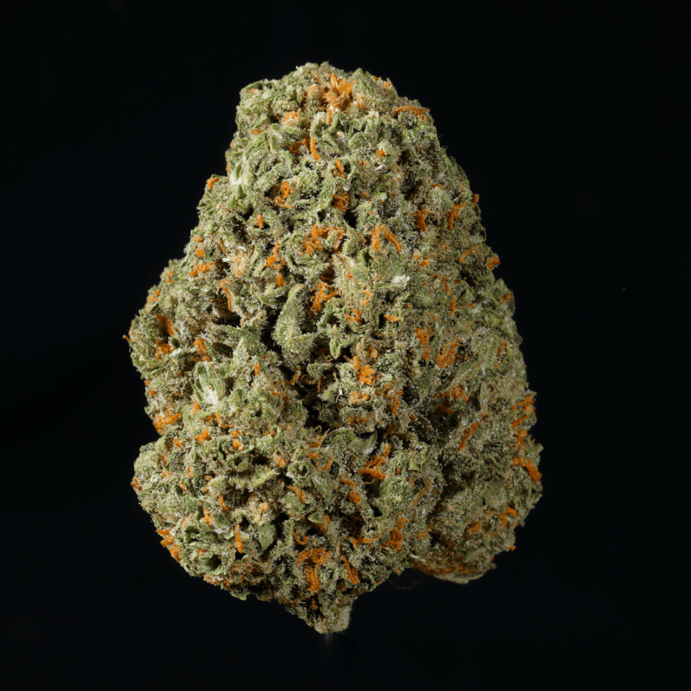 Lemonade THCA Flower - Lost In Translation