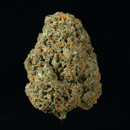 Lemonade THCA Flower - Lost In Translation