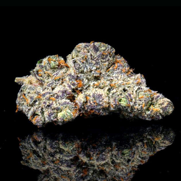 Lemonade THCA Flower - Lost In Translation