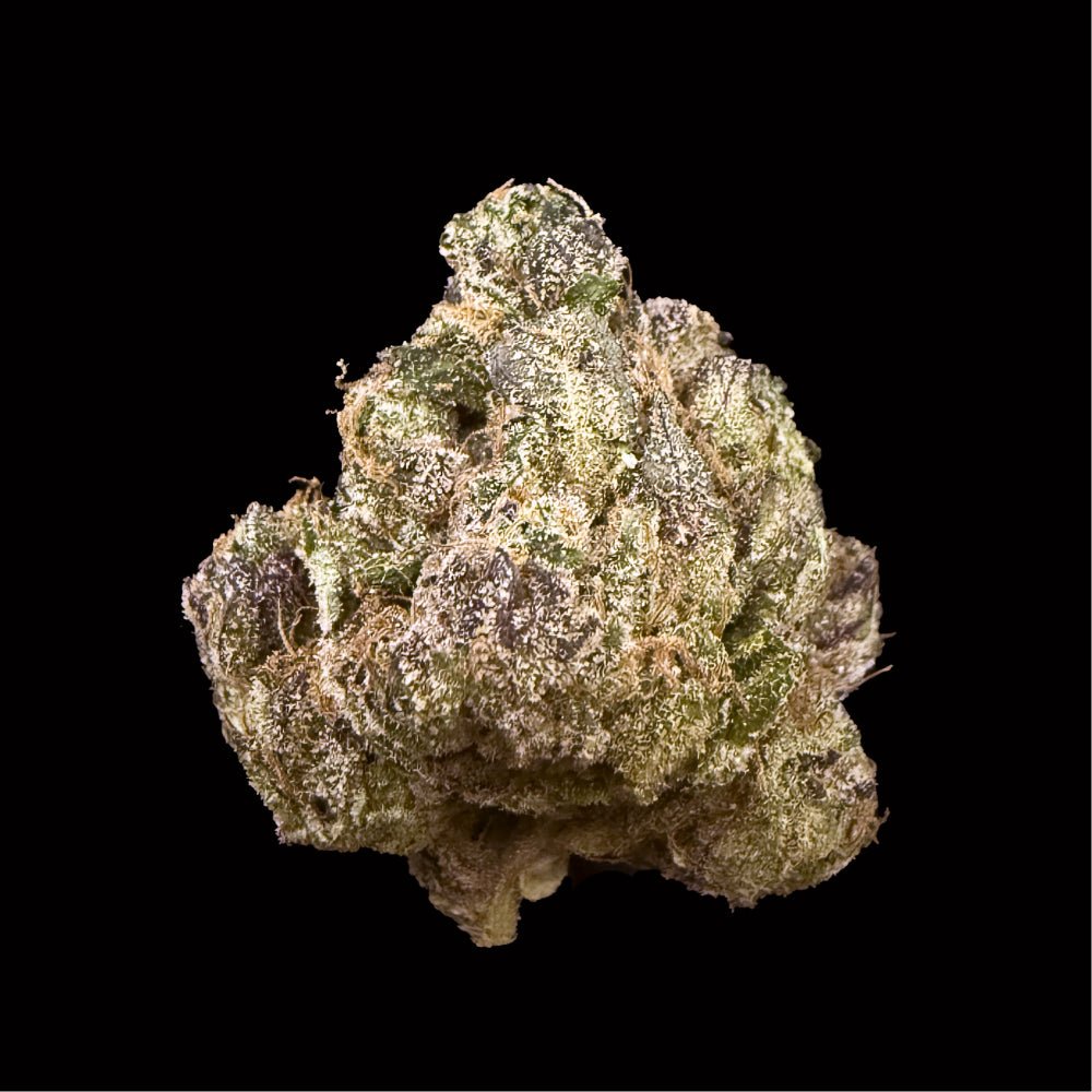Gushers THCA Flower - Lost In Translation