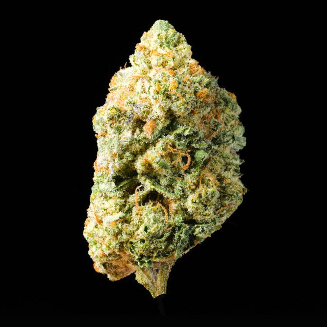 Lobster Butter THCA Flower - Lost In Translation