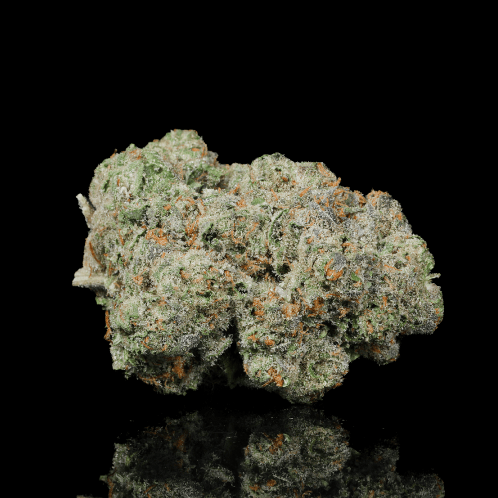 MAC1 THCA Flower - Lost In Translation