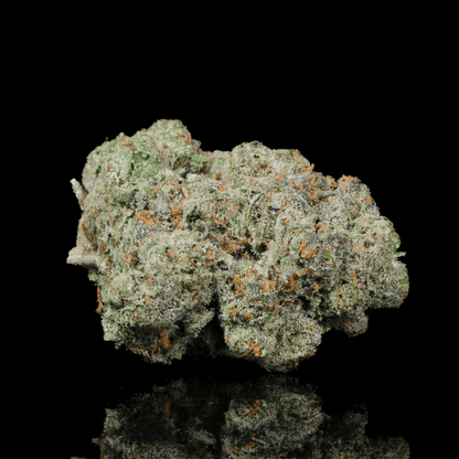 MAC1 THCA Flower - Lost In Translation