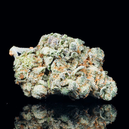 MAC1 THCA Flower - Lost In Translation