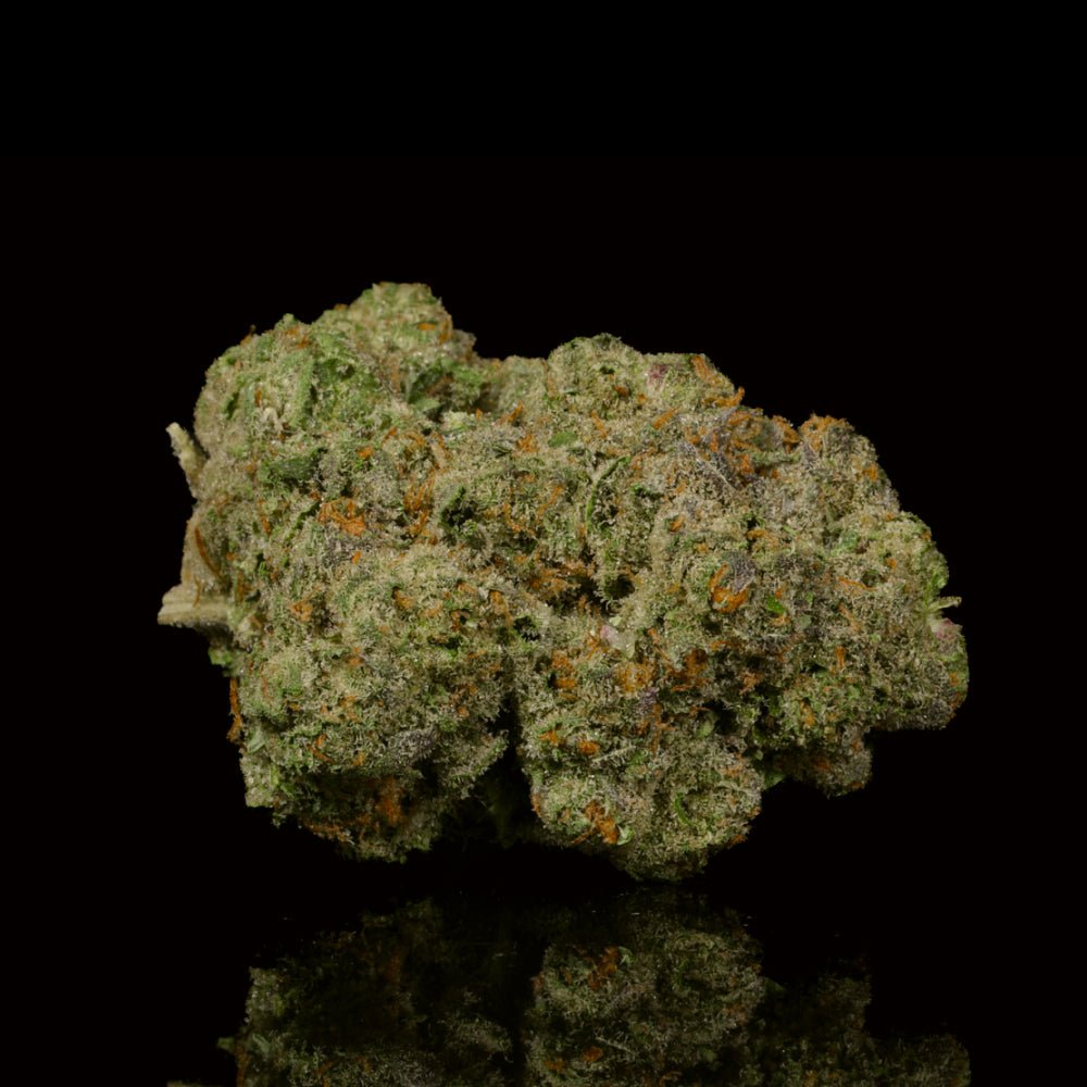 Mango Runtz THCA Flower – Lost In Translation