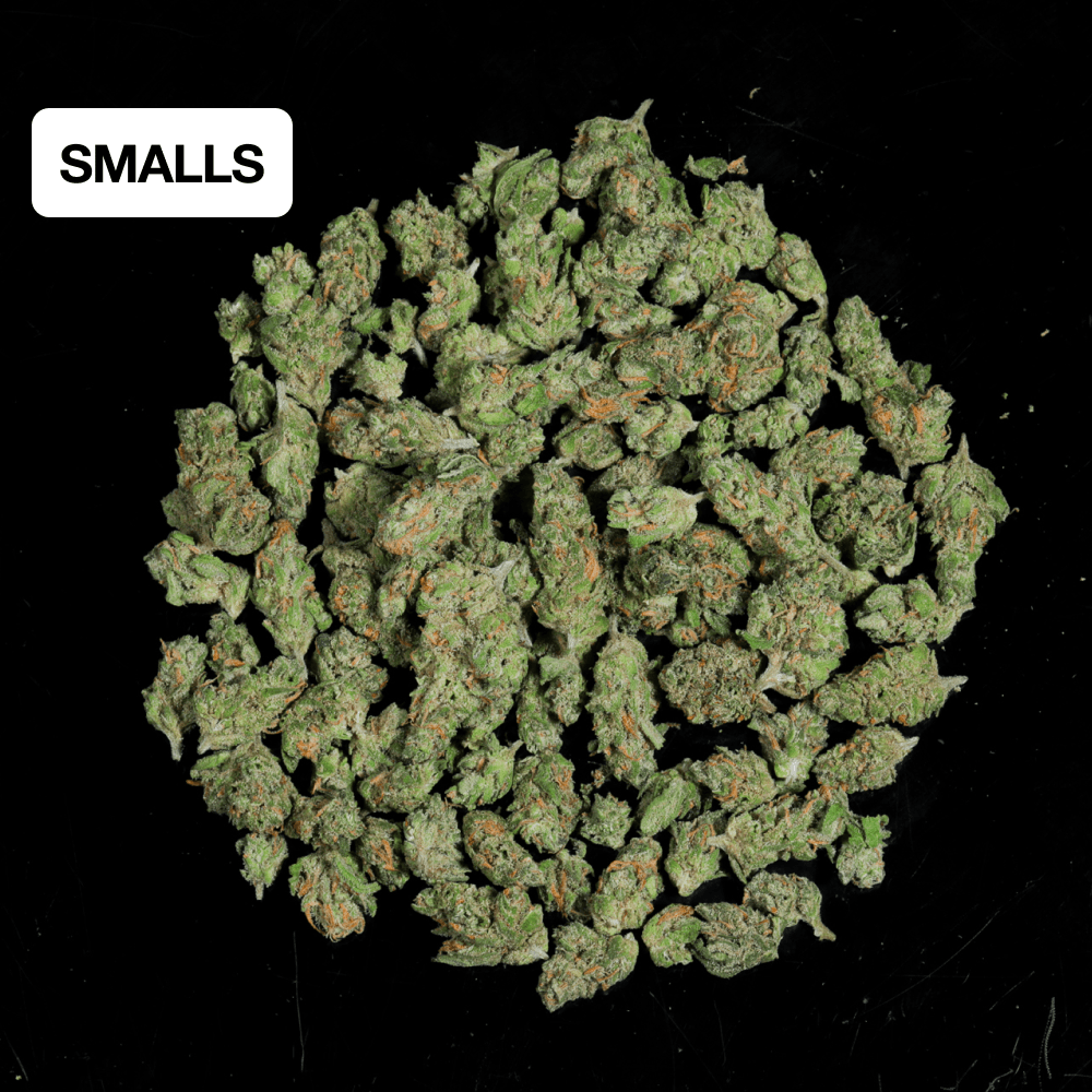 Mule Fuel THCA Flower - Lost In Translation