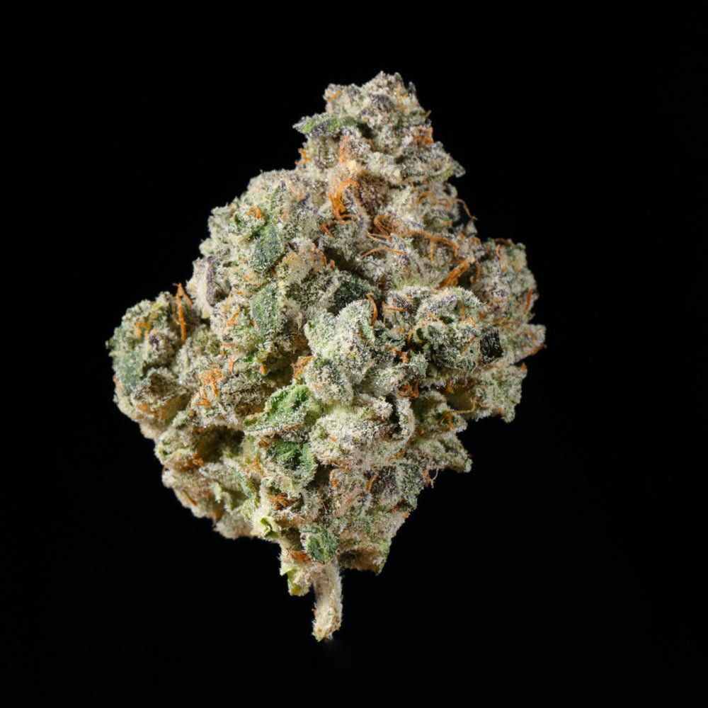 Marshmellow Puff THCA Flower - Lost In Translation