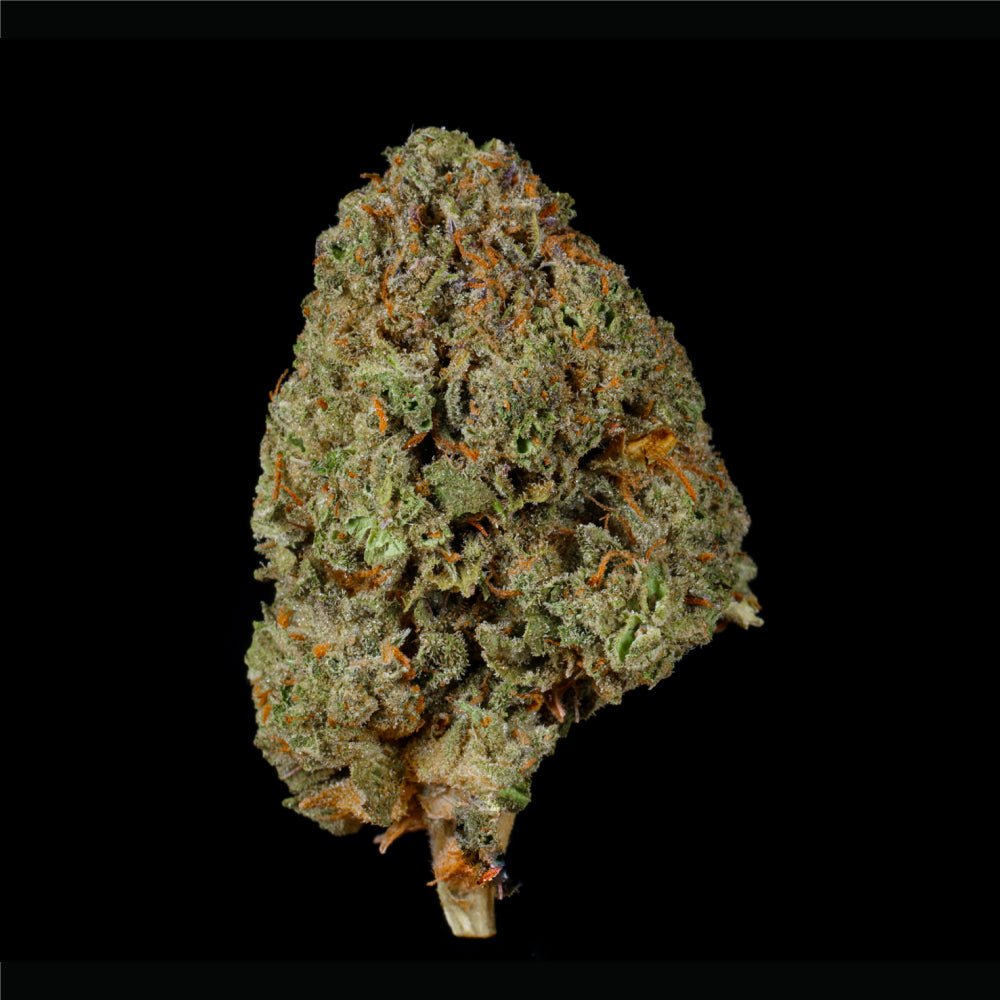 Mochi THCA Flower - Lost In Translation