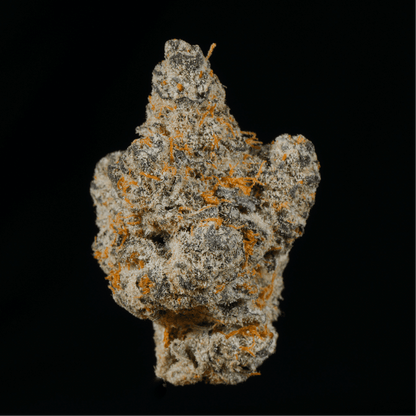 Mochi THCA Flower - Lost In Translation