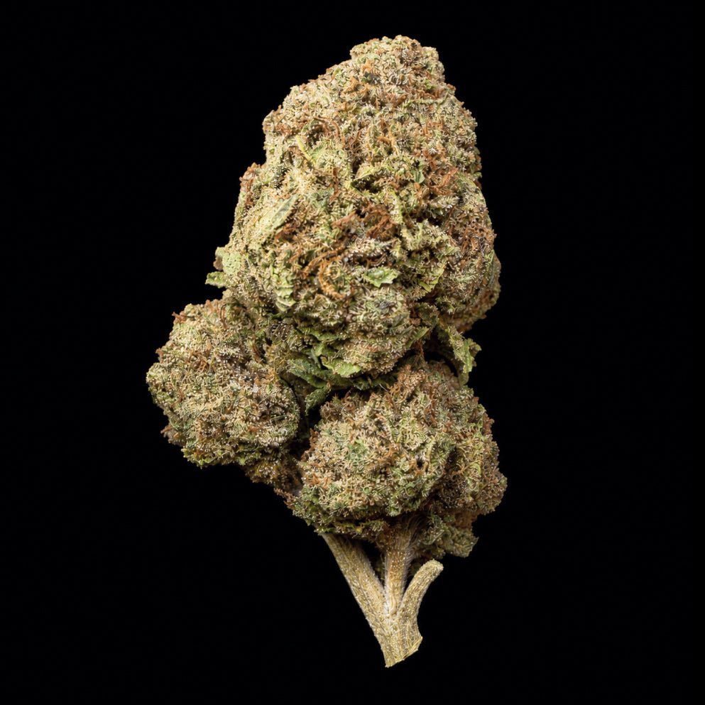 Mochi THCA Flower - Lost In Translation