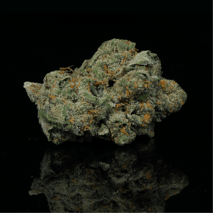 Mochi THCA Flower - Lost In Translation