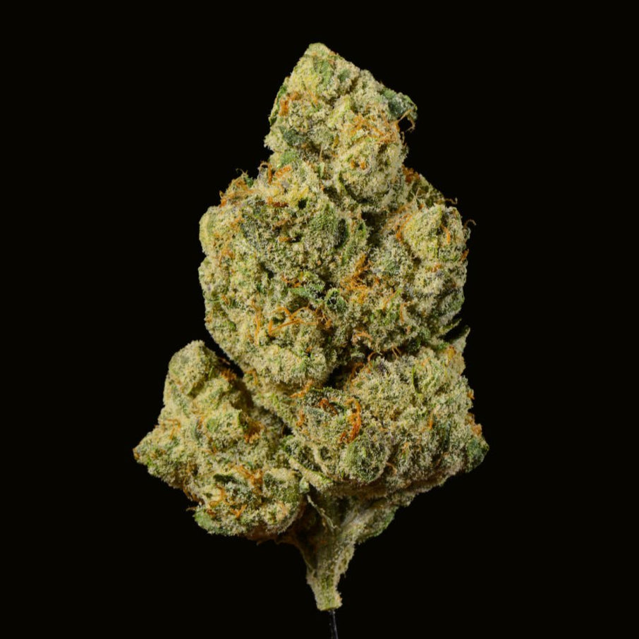 Mule Fuel THCA Flower - Lost In Translation