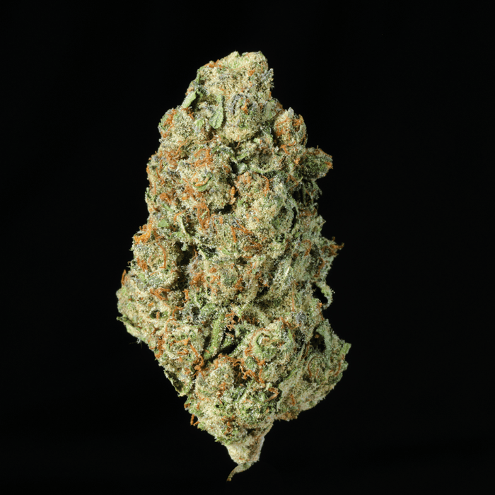 Night Moon THCA Flower - Lost In Translation