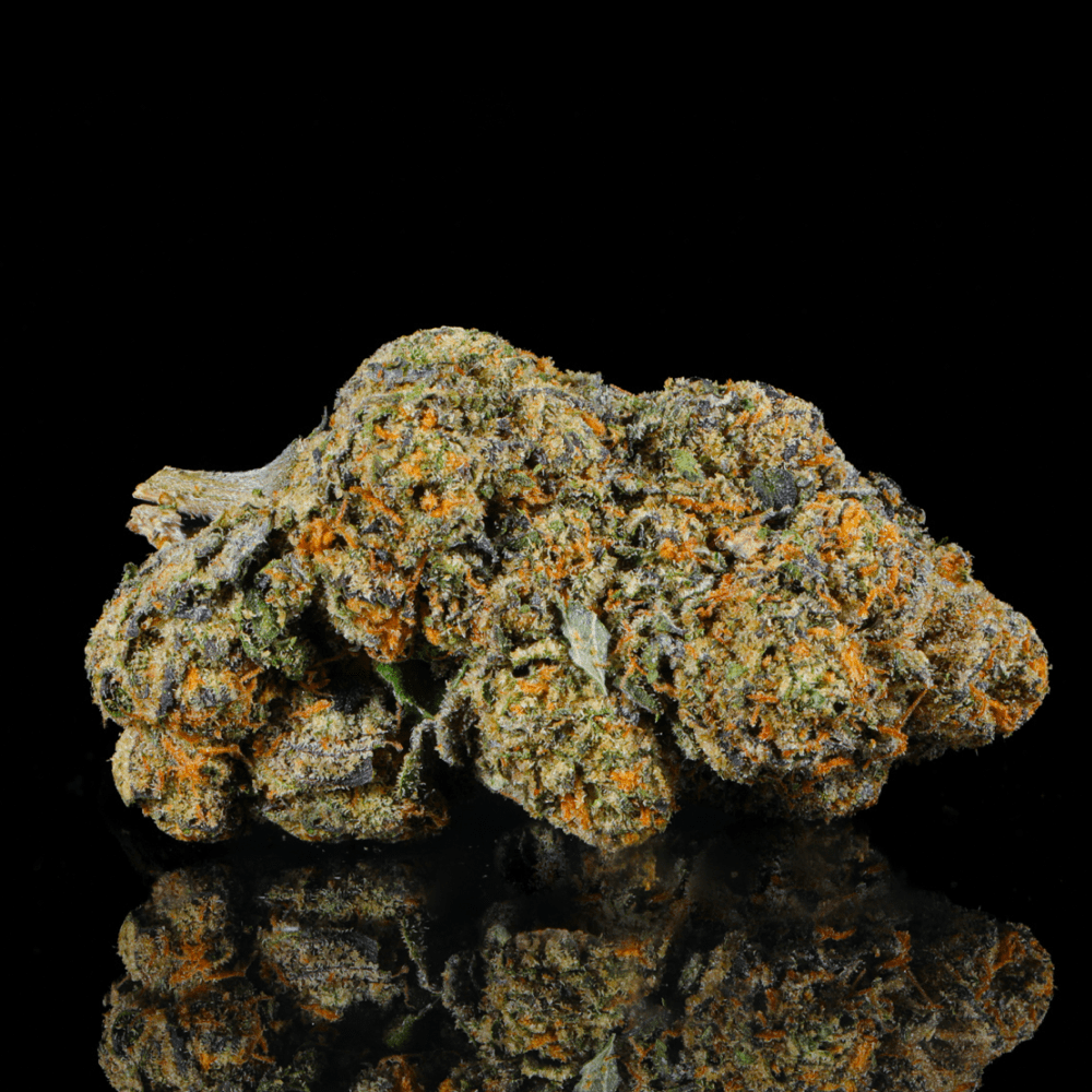 Nightmare Runtz THCA Flower - Lost In Translation