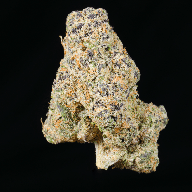 Notorious OG THCA Flower - Lost In Translation