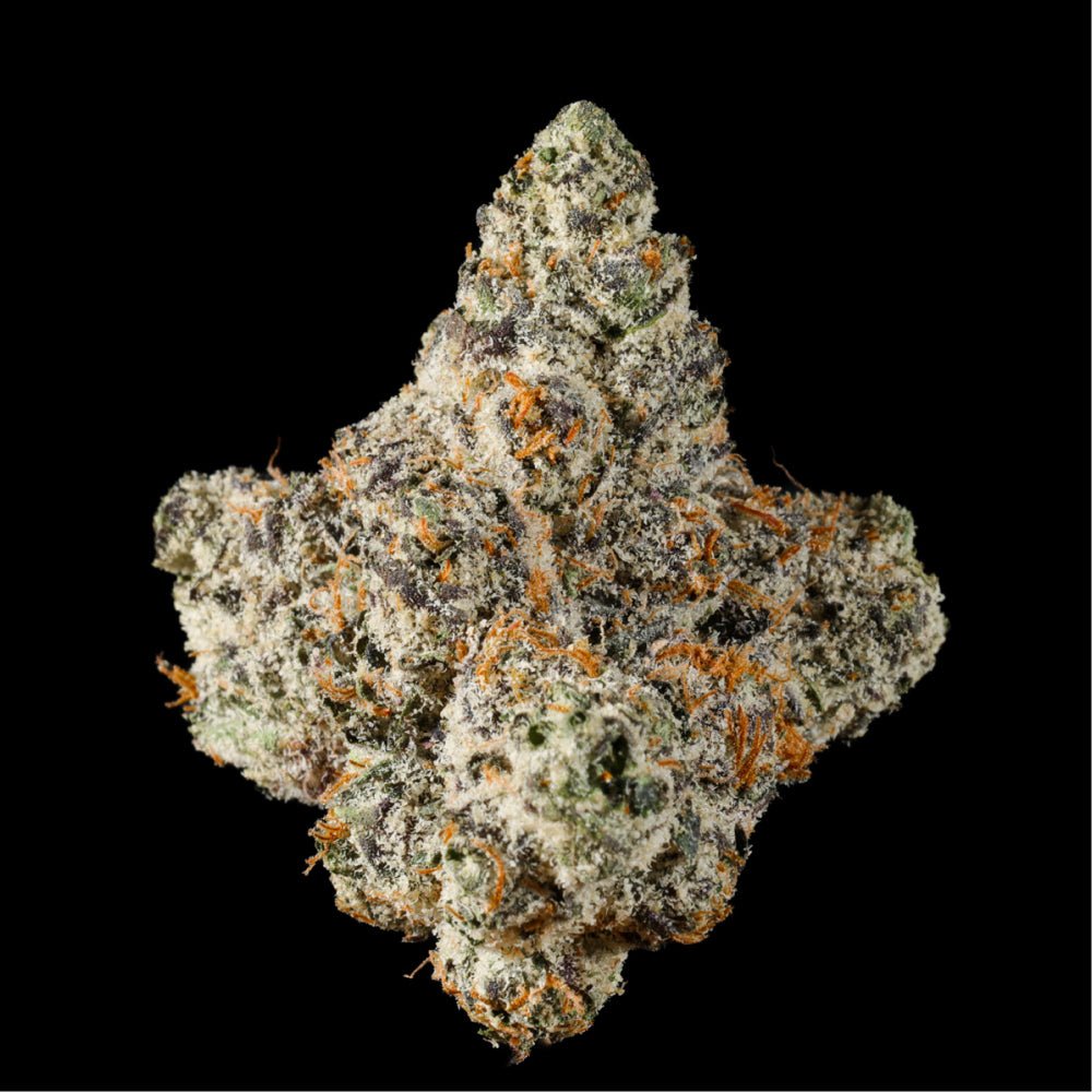 Oakland Runtz THCA Flower - Lost In Translation