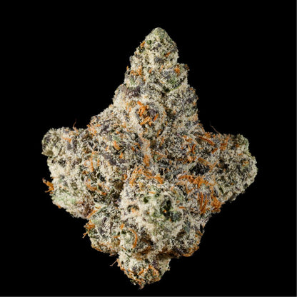 Oakland Runtz THCA Flower - Lost In Translation