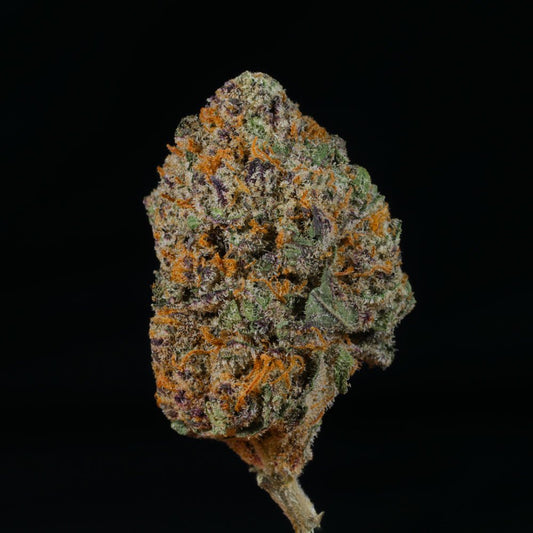 White Truffle THCA Flower - Lost In Translation