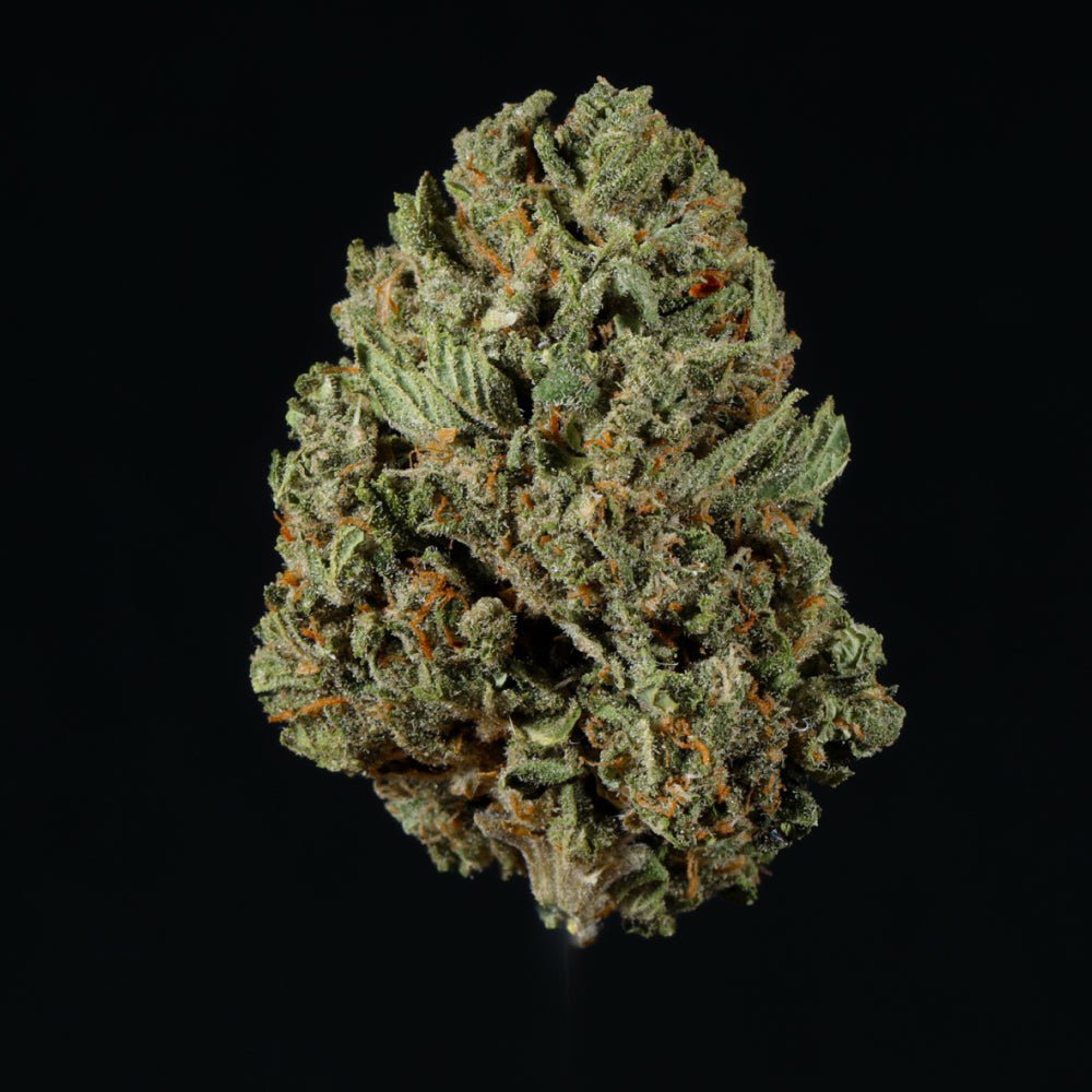 Peach Ringz harvested flower, as labeled by the cited photo source