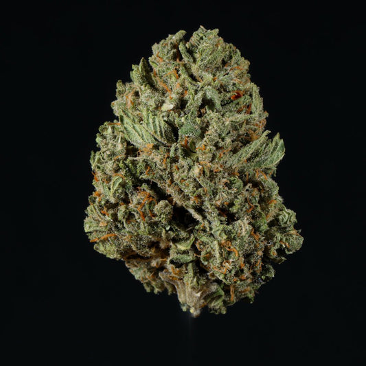 Peach Ringz THCA Flower - Lost In Translation