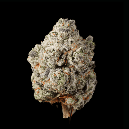 Peanut Butter & Jealousy THCA Flower - Lost In Translation